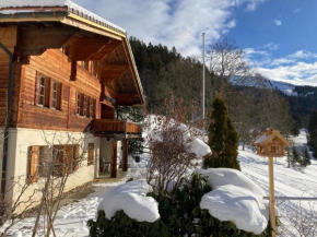 Chalet Buebeberg Ferienhaus mit 8 Betten